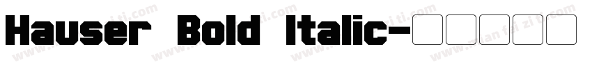 Hauser Bold Italic字体转换
